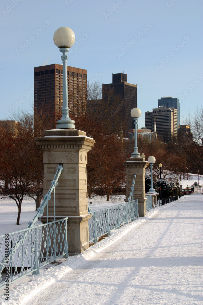 Fototapeta premium Boston Winter..