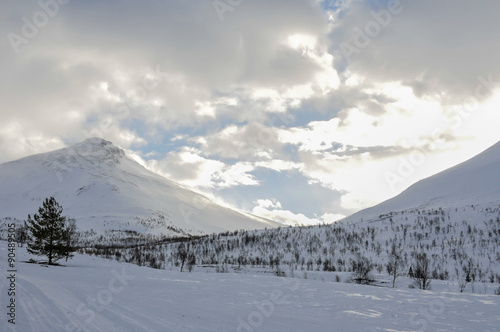 Paisagem de inverno