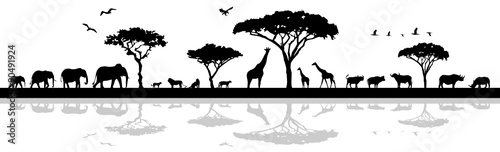 Tiere in Afrika