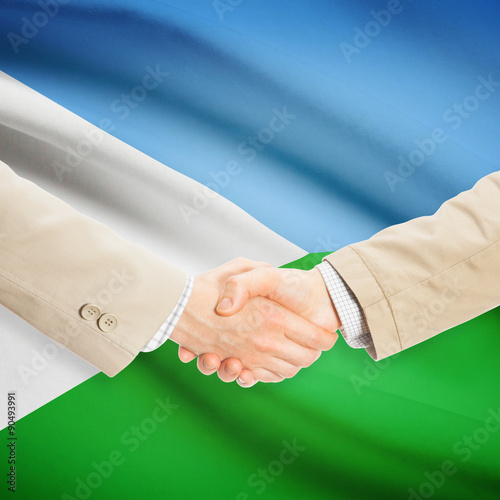 Businessmen handshake with flag on background - Djibouti