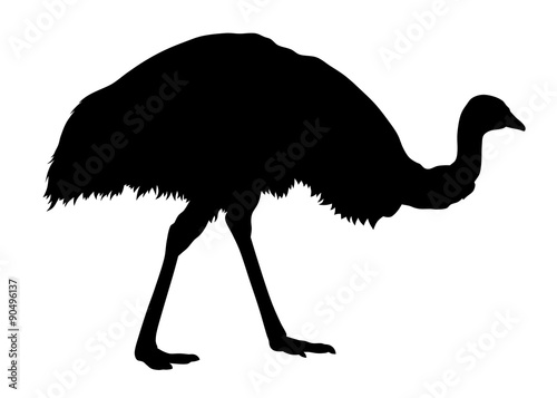 Emu