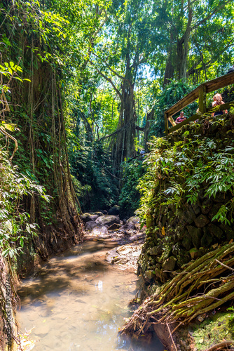 Monkey Forest, Ubud, Bali - Indonesia