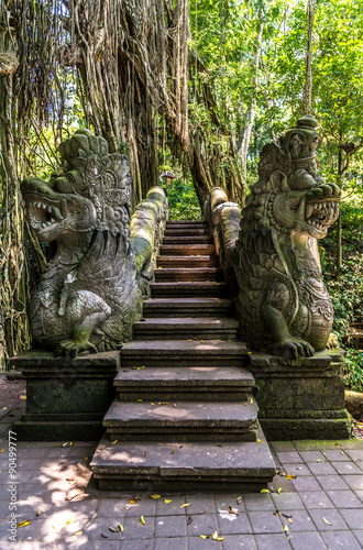 Monkey Forest, Ubud, Bali - Indonesia