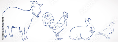 dessin de lapin, coq, pigeon, chèvre