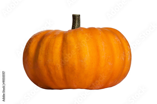 Pumpkin isolated on the white