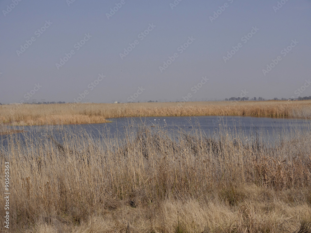 Marievale Nature Reserve