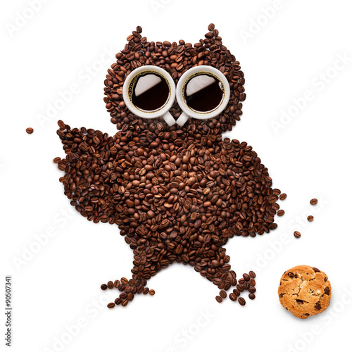 Owlet with cookie.