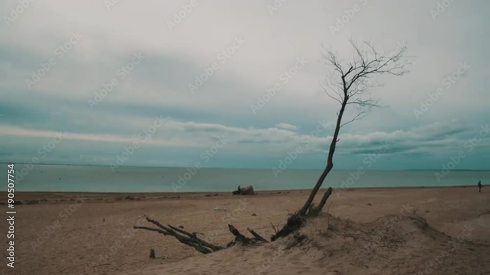 A lone man walks along the beach A lone man walks along the beach