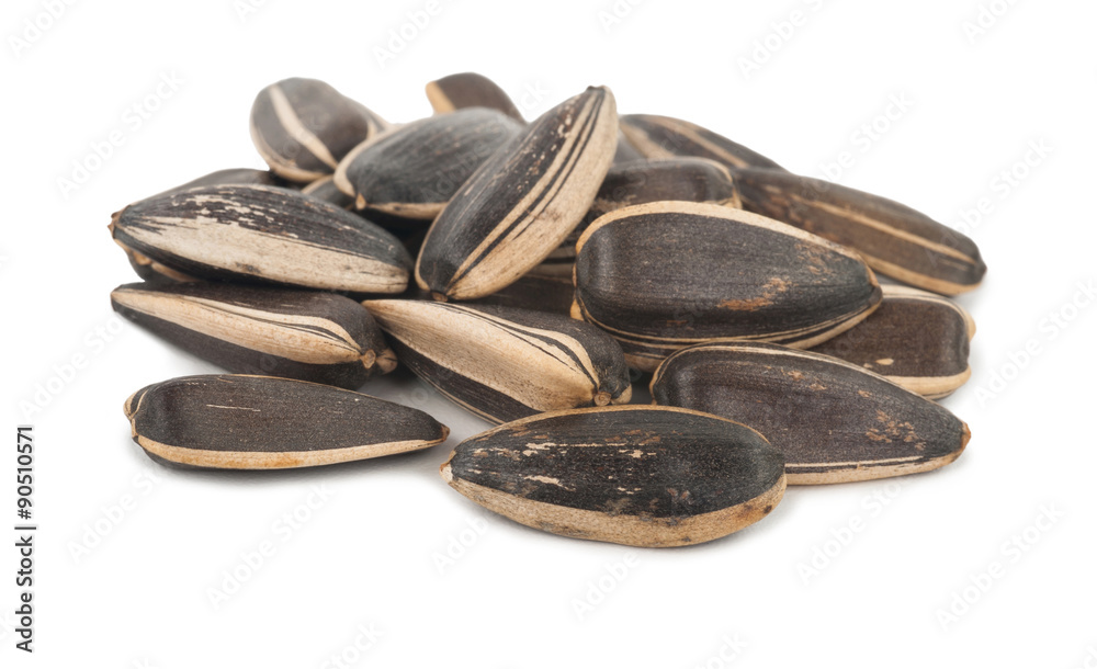 Sunflower seeds pile Sunflower seeds pile