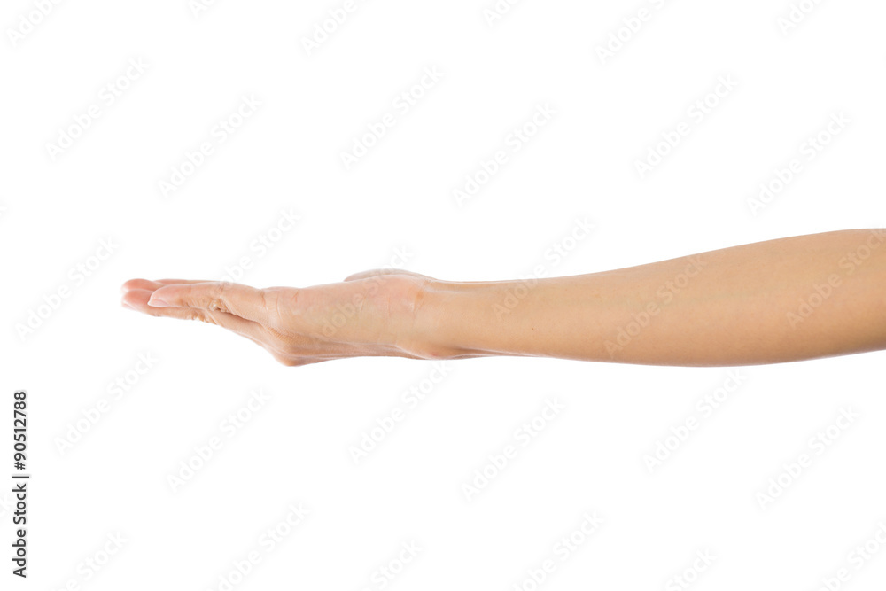 Woman hands on white background