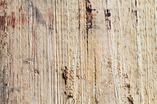Wood texture