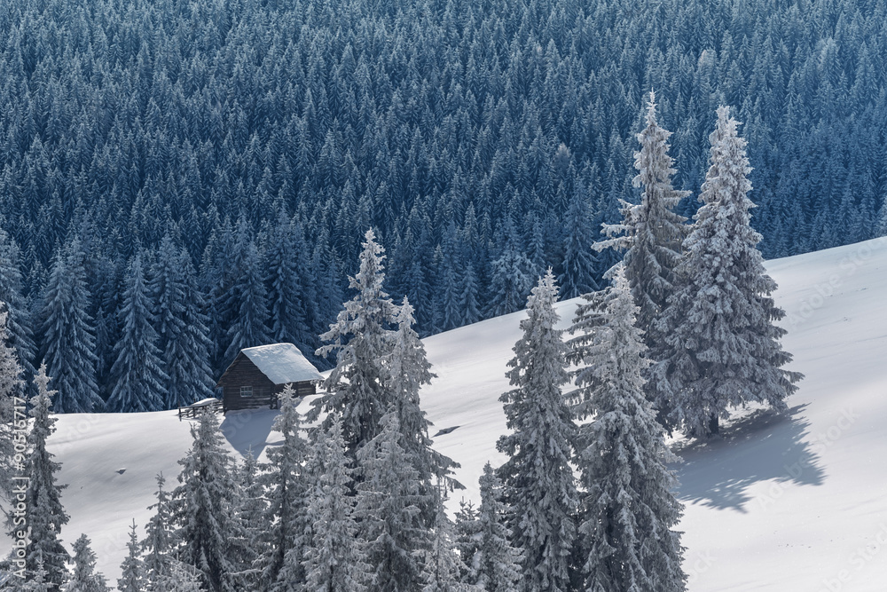 Fototapeta premium landscape