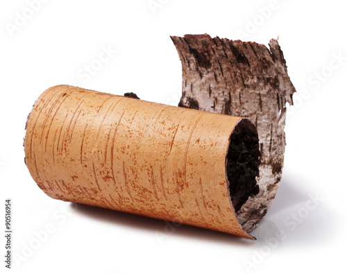 Принти на полотні birch bark isolated on a white background.