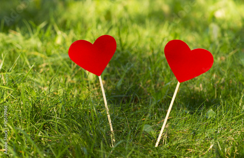 Bild auf Leinwand Hearts in the grass, valentine, declaration of love