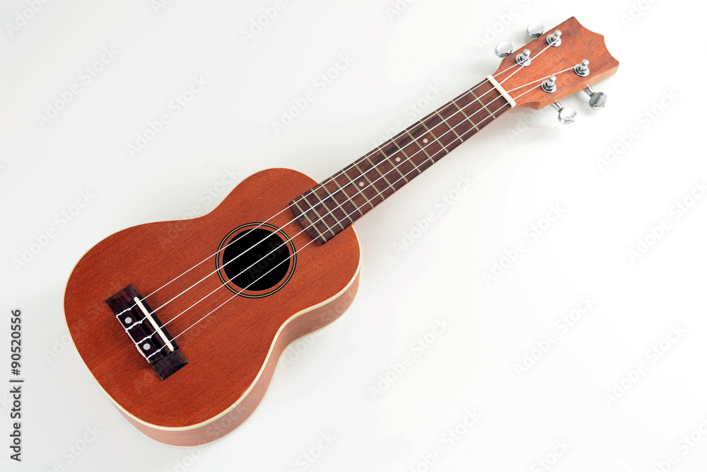 Obraz premium Ukulele