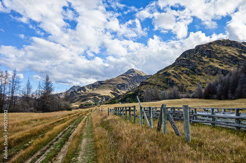 Abandoned rural Farm in New Zealand