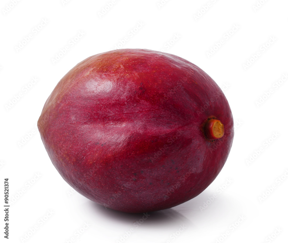 whole mango fruits on white background whole mango fruits on white background