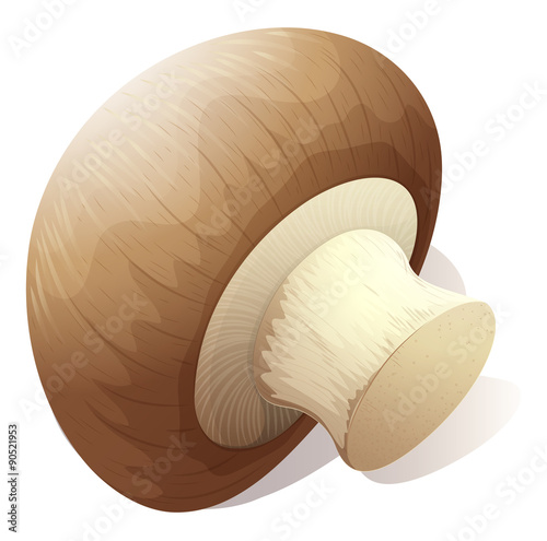 Single mushroom on white