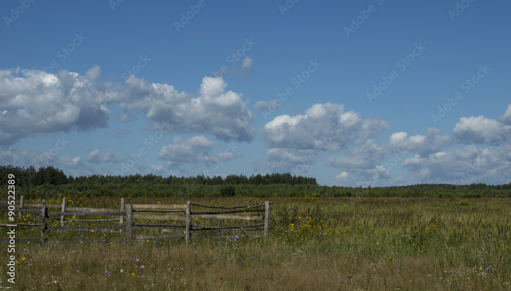 Countryside fence in the field