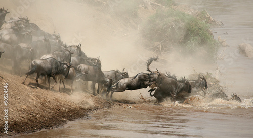 crossing river Mara photo
