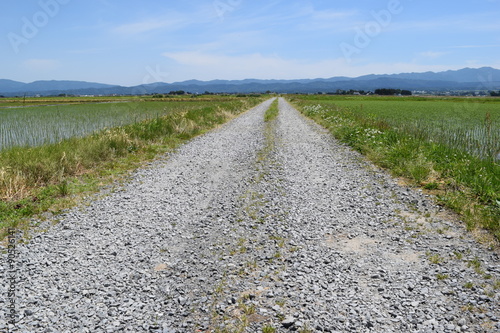 農道と田園風景／山形県の庄内地方で、農道と田園風景を撮影した写真です。