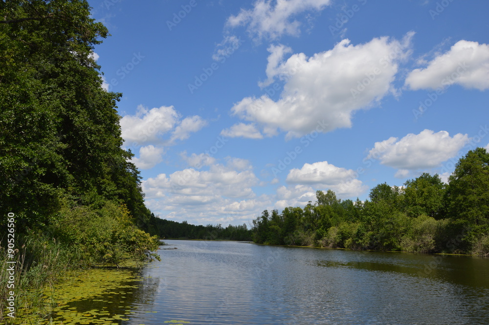 Fototapeta premium Теплое лето