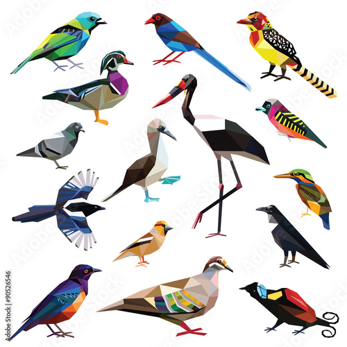 Birds-set colorful birds low poly design isolated on white background.  Broadbill Booby Bronzewing Raven Pigeon Tanager Finch Starling Magpie Barbet Stork Kingfisher Bird of paradise Duck.