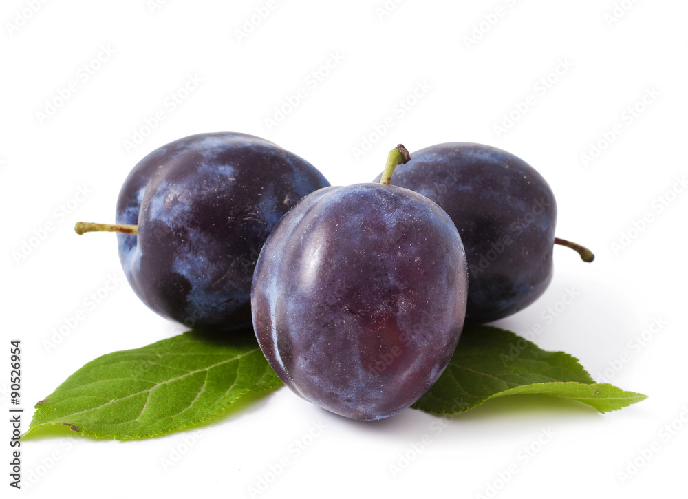 Three plums with leaves on white background