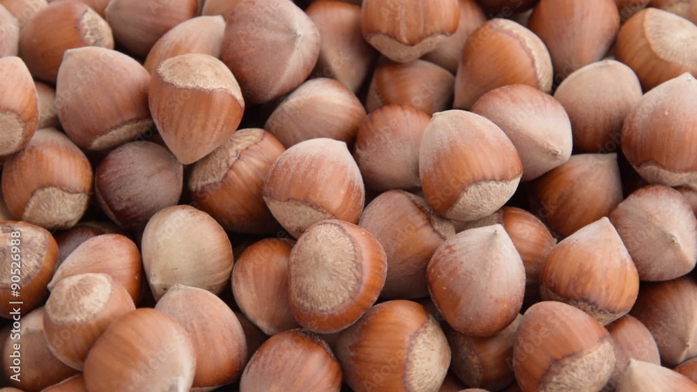 A pile of shelled hazelnuts rotating smoothly. Tripod used under studio lighting. A pile of shelled hazelnuts rotating smoothly. Tripod used under studio lighting.