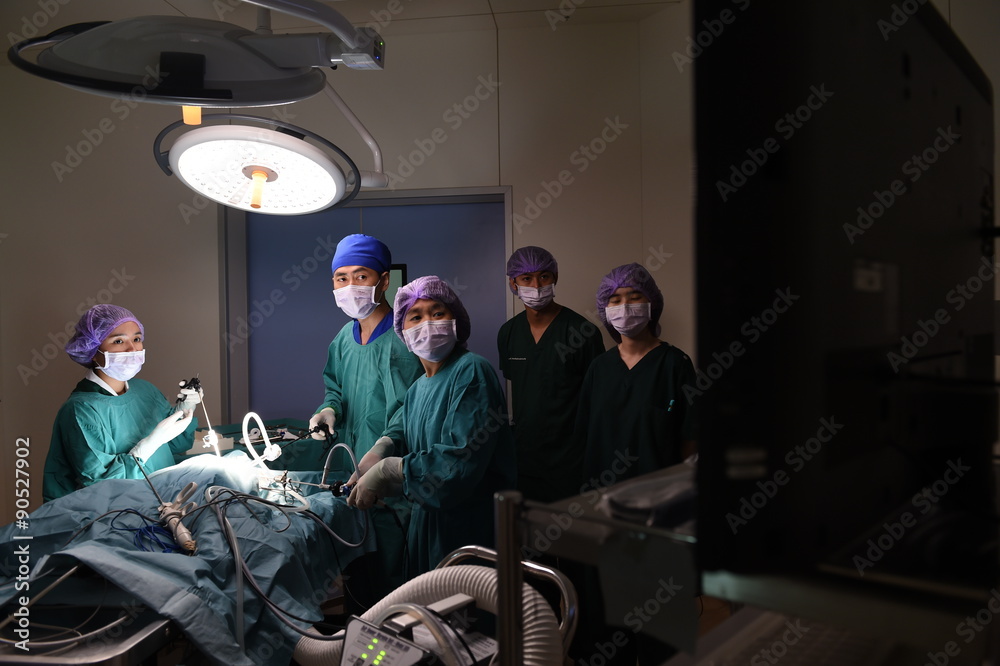 group of veterinarian surgery in operation room group of veterinarian surgery in operation room