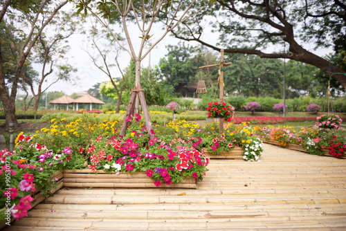 Beautiful flower garden with bamboo path