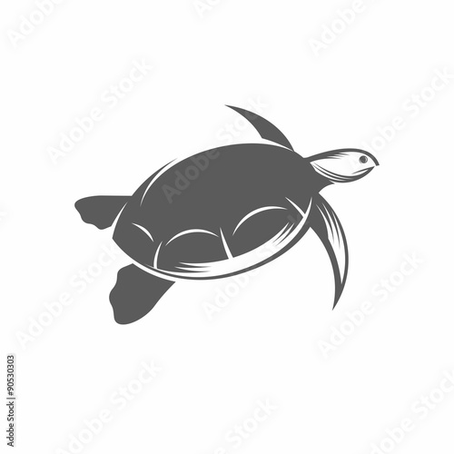 Sea turtle in the water vector illustration / Vector illustration, Turtle, Tortoise, Reptile, Tattoo, Underwater, Vintage, Aquatic