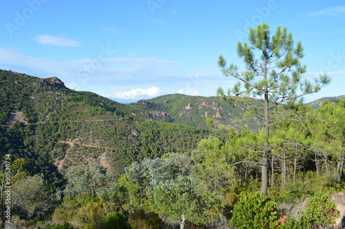 Esterel & Méditerranée 
