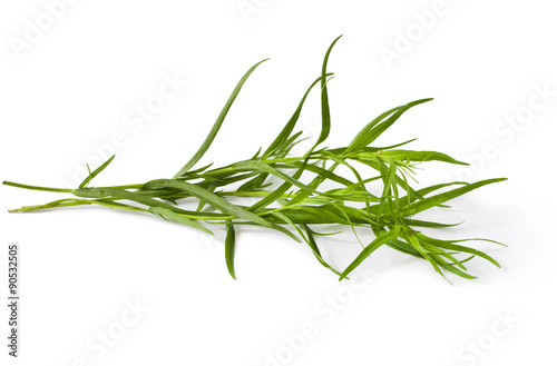 fresh tarragon herb isolated on a white background