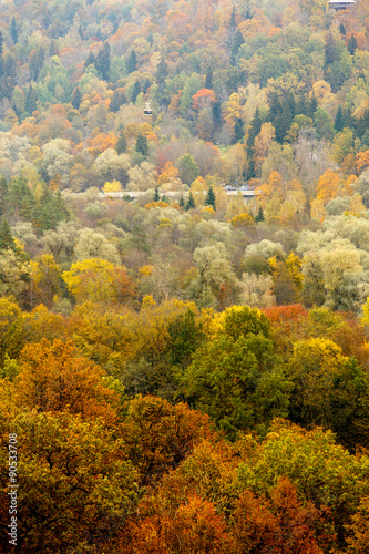 Fototapeta Naklejka Na Ścianę i Meble -  Colorful autumn forest landscape, textured background.