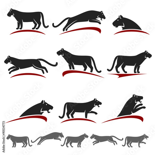 Fototapeta Naklejka Na Ścianę i Meble -  Tiger set. Vector