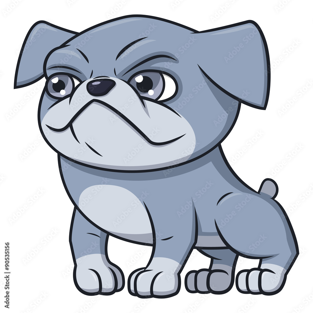 Fototapeta premium Bulldog puppy 2