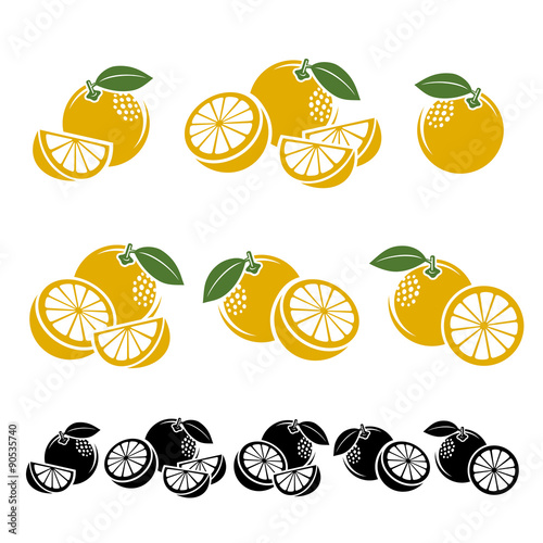 Grapefruit set. Vector