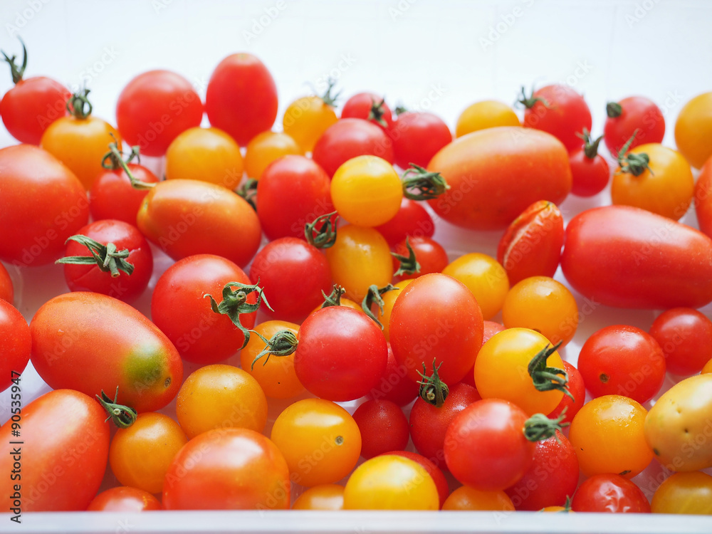 Tomato vegetables Tomato vegetables