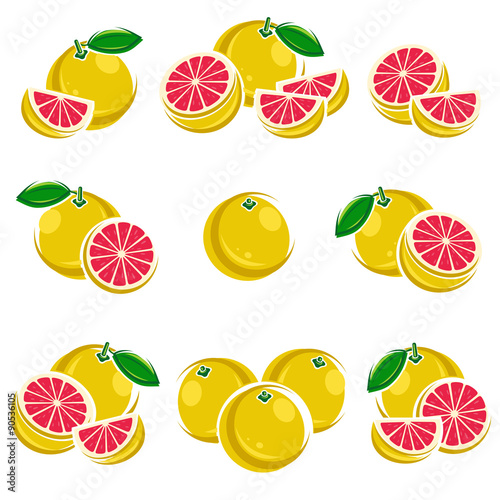 Grapefruit set. Vector
