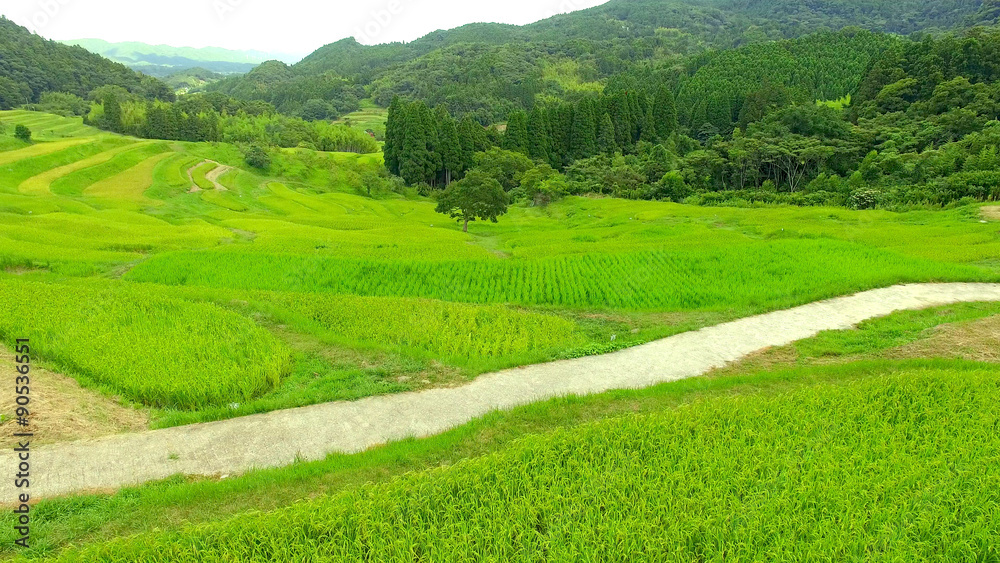 Obraz premium 空撮 千葉 大山千枚田