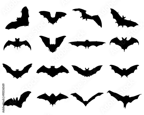 Black silhouettes of different bats, vector