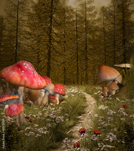 Enchanted nature series - Forest enchanted pathway