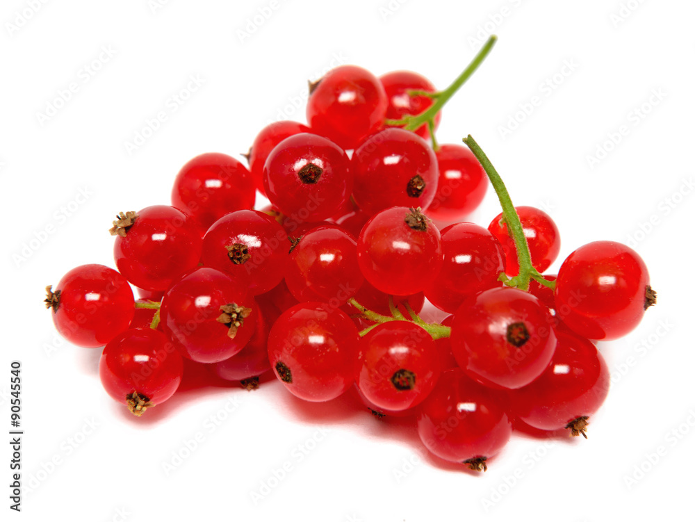 Johannisbeeren Johannisbeeren