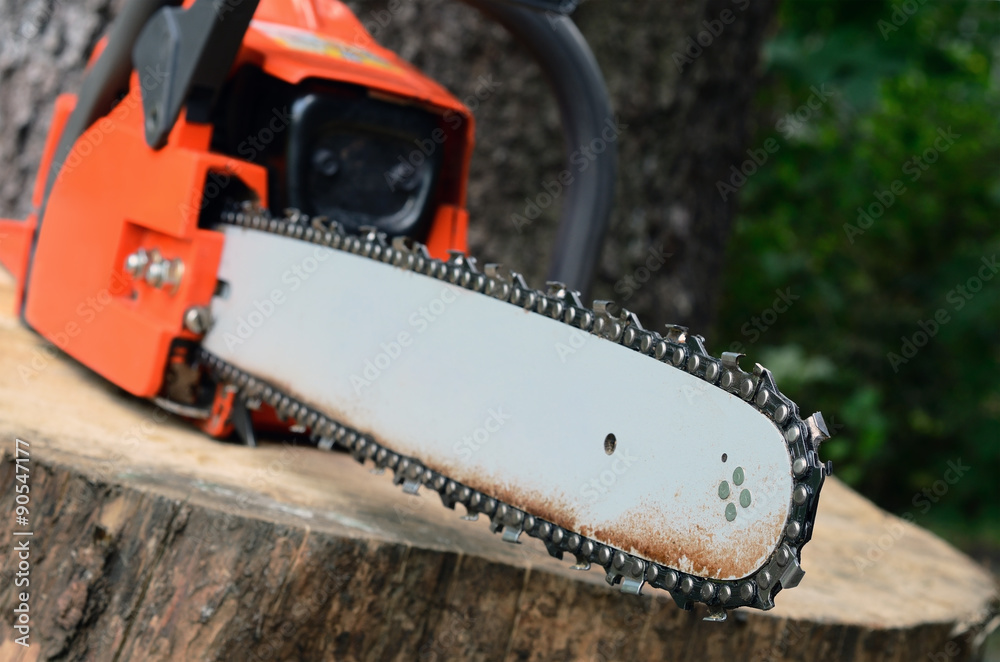 chainsaw on the stump