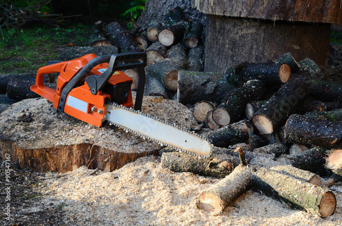 chainsaw and sawed wood