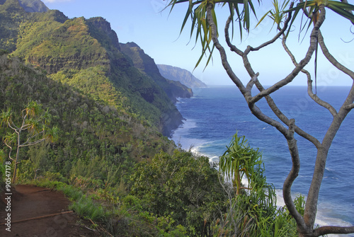 Rugged coastline of Ocean and rainforest along Kalalau Trail, Kauai, Hawaii © nyker