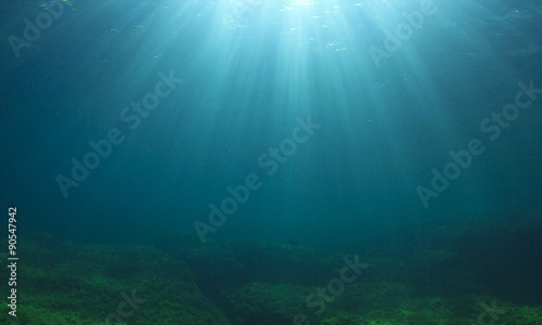 Underwater backgound © Richard Carey