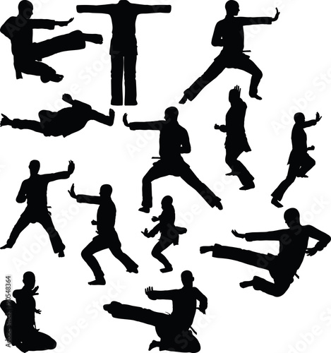 karate silhouette