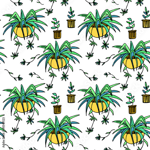 Pot plants seamless pattern, hand-drawn design elements